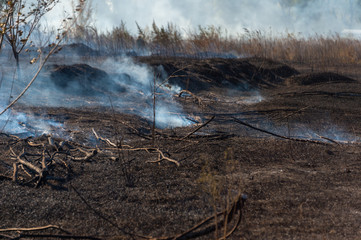 fire in the field and dry wood burns with blue smoke