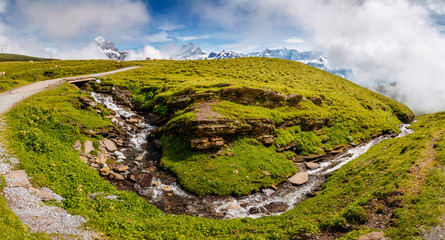 Fototapeta na wymiar Great view of alpine misty hills. Location place Swiss alps, Grindelwald valley.