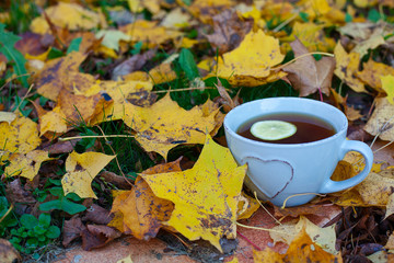 cup of tea and autumn leaves