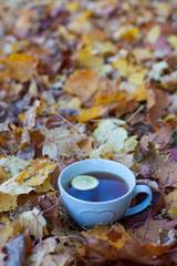 Naklejka na ściany i meble tea and autumn leaves
