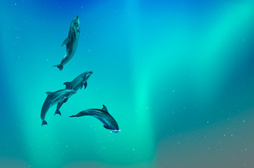 Group of dolphins jumping on space with aurora 