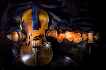 composition with an old violin in dark colors
