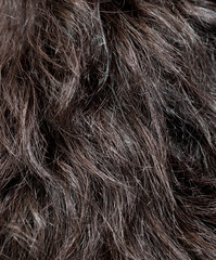 background black hair close-up