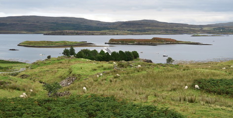 Fototapeta na wymiar sea shore on the island of Skye in Scotland in United Kingdom