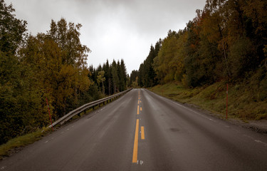Norwegian Roads