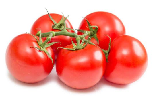 Tomaten freigestellt auf wei&szlig;em Hintergrund