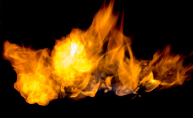 Fototapeta premium beautiful flame of fire