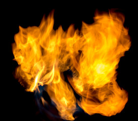 Fototapeta premium beautiful flame of fire