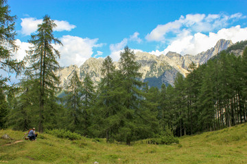 Fototapeta na wymiar Details from national park Triglav, part of Alps mountains in Slovenia