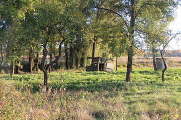 autumn in the park