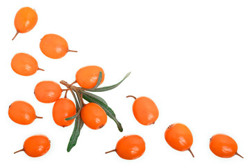 Sea buckthorn. Fresh ripe berry with leaves isolated on white background with copy space for your text. Top view. Flat lay pattern
