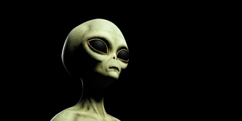 Extremely detailed and realistic high resolution 3d illustration of a grey alien