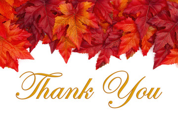 Fall time Thank You message with red and orange fall leaves