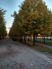 Park. Alley in the Park. Autumn park