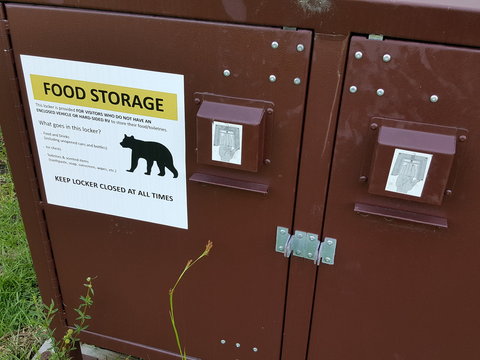 Bear Garbage Can