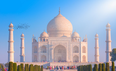 Taj Mahal from the pool side - Agra, India