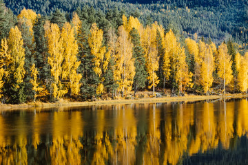 Autumn Landscapes in Norway - by fjords and mountains