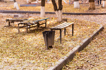 Autumn Park bench