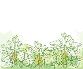 Vector horizontal bunch with outline Soybean or Soy bean with pods and ornate leaf in pastel green on the textured background. Field of legume plant Soya in contour style for vegetarian food drawing.