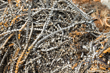 silver spirals of metal shavings as garbage, texture of different size of metal spirals shavings texture, metal shavings texture