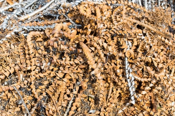 silver spirals of metal shavings as garbage, texture of different size of metal spirals shavings texture, metal shavings texture