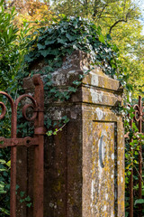 Efeu auf Sandstein Pfeiler