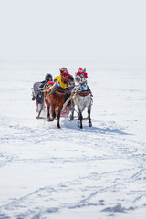 Horses pulling sleigh in winter - Cildir Lake, Kars