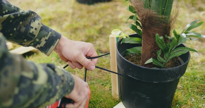 Close up of gardener tending his garden