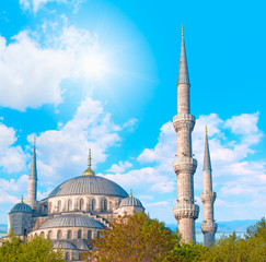 Fototapeta na wymiar The Blue Mosque, (Sultanahmet Camii), Istanbul