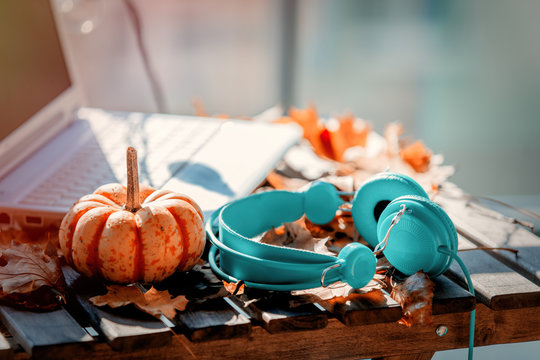 pumpkin, headphones and leaves near laptop computer
