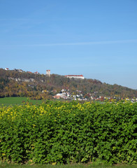 Fototapeta na wymiar Schloss Hirschberg in Beilngries