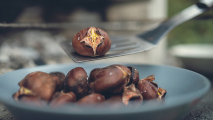 Retro image of roasted chestnut on a  spatula