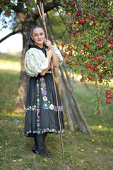 une belle femme récolte de pommes
