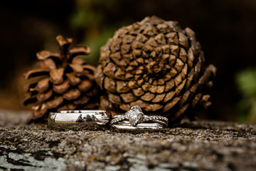 Wedding rings with pinecones