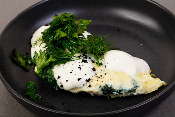 Dietary protein omelet