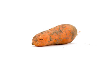 carrots on a white background
