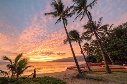 Paddling Canoe On Beach In Maui At Sunset