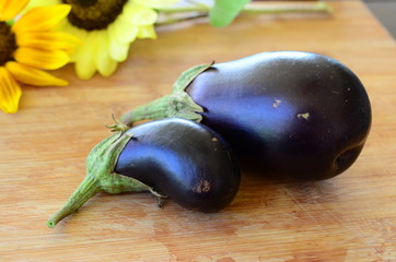 Fresh, adorable dark purple Eggplants harvested on an Organic Farm in Adjuntas Puerto, Rico. Farm fresh eggplant on the cutting board.