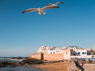 Medina of Essaouira, Morocco, with old city wall