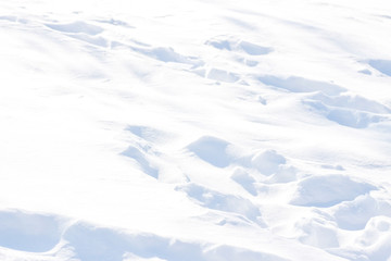 Fototapeta na wymiar White, powdery snow