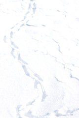 Background footprints in the snow