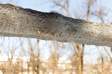 Last snow on the grass
