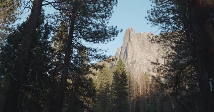 Yosemite crane up through trees, Sentinel Rock, shot in 10 bit C4K