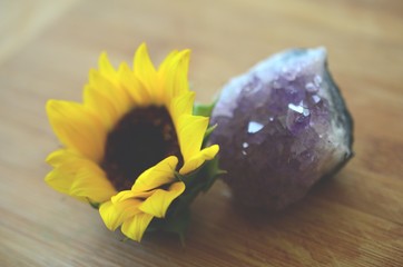 Healing crystals with a Sunflower, amethyst and smokey citrine. Faded vintage photo taken with a...