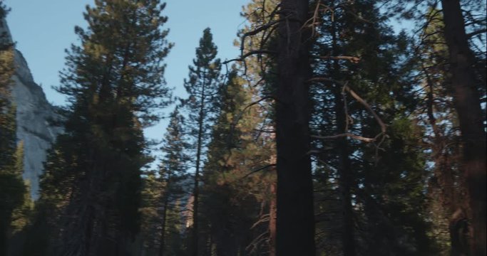 Yosemite pan from Sentinel Rock across valley through pines, shot in 10 bit C4K