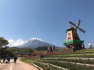Fototapeta premium 富士山