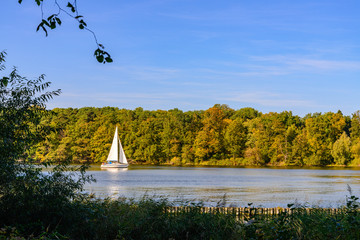 Natural landscape view of forest with autumn leaves in Pfaueninsel island and boat sail at Wannsee...