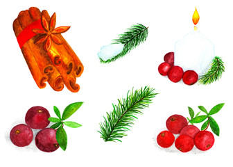 Set of Christmas elements for design. Watercolor illustration.
Cinnamon sticks, cranberries, fir branches. Large set of isolated patterns for design.