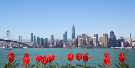 Skyline of San Francisco with red flowers on front