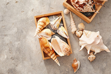Boxes with different sea shells on grey background